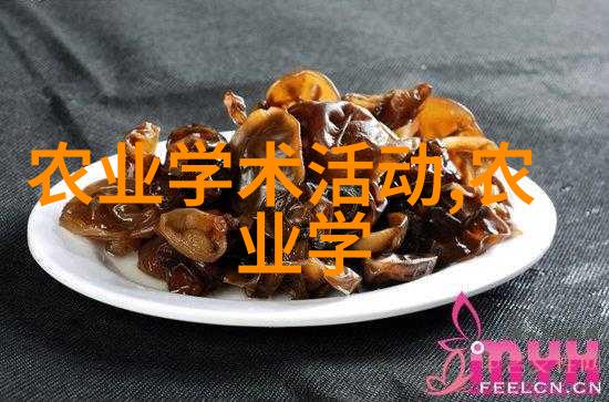 科技革新与传统工艺融合未来智能农业如何改善农作物质量和产量