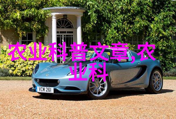 庭院蔬菜种植技术与管理绿色生活家庭园艺有机农业水土保持