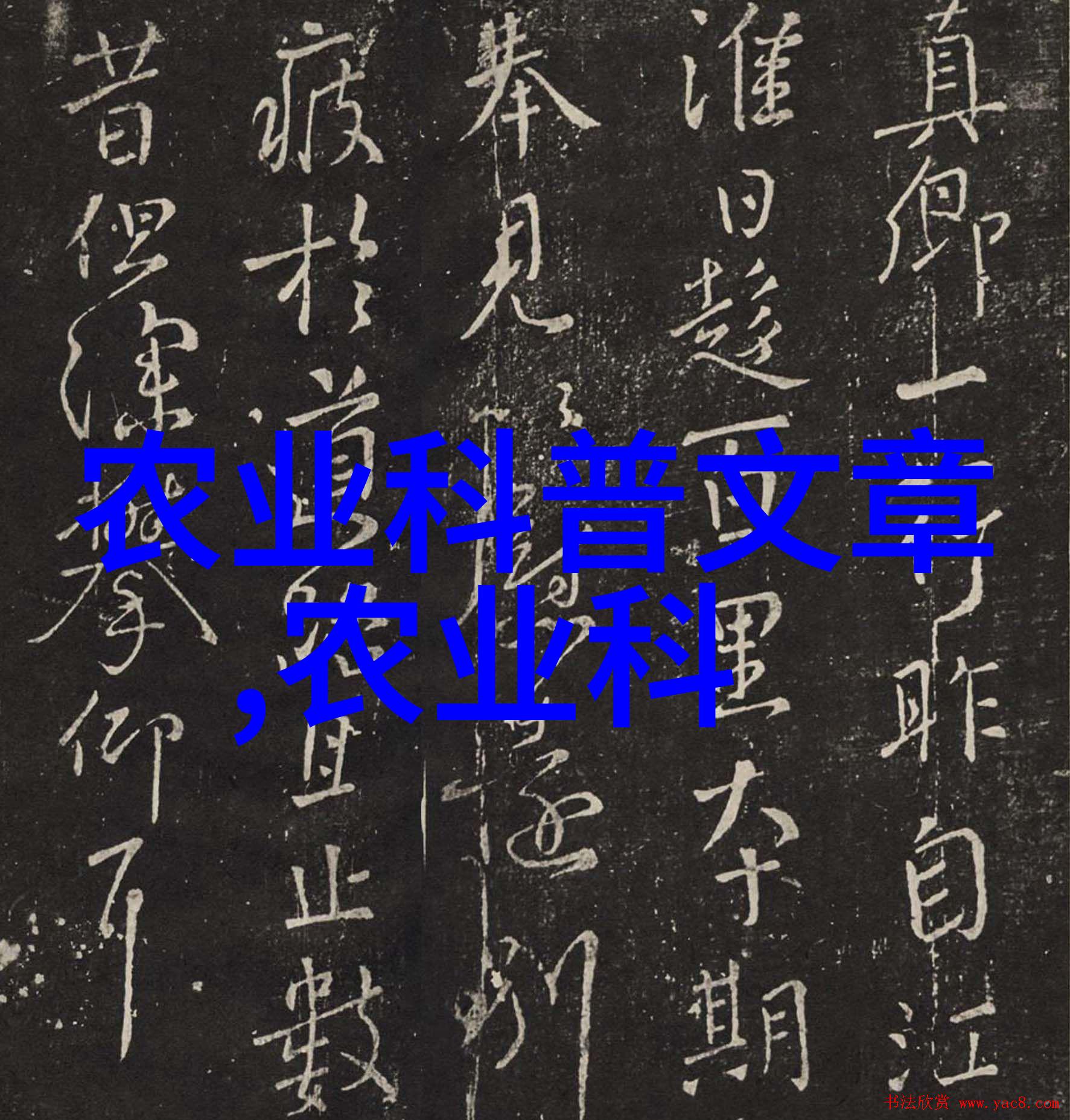 绿意盎然的丰收宝典蔬菜种植大全