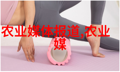 今日头条背后的算法秘密又是如何运作的