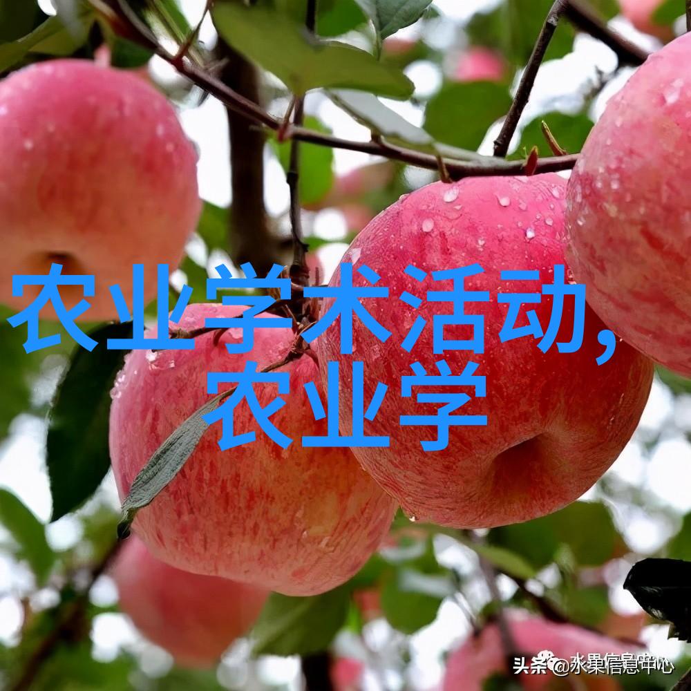 穷人养羊越养越穷困境与贫困的无休止循环