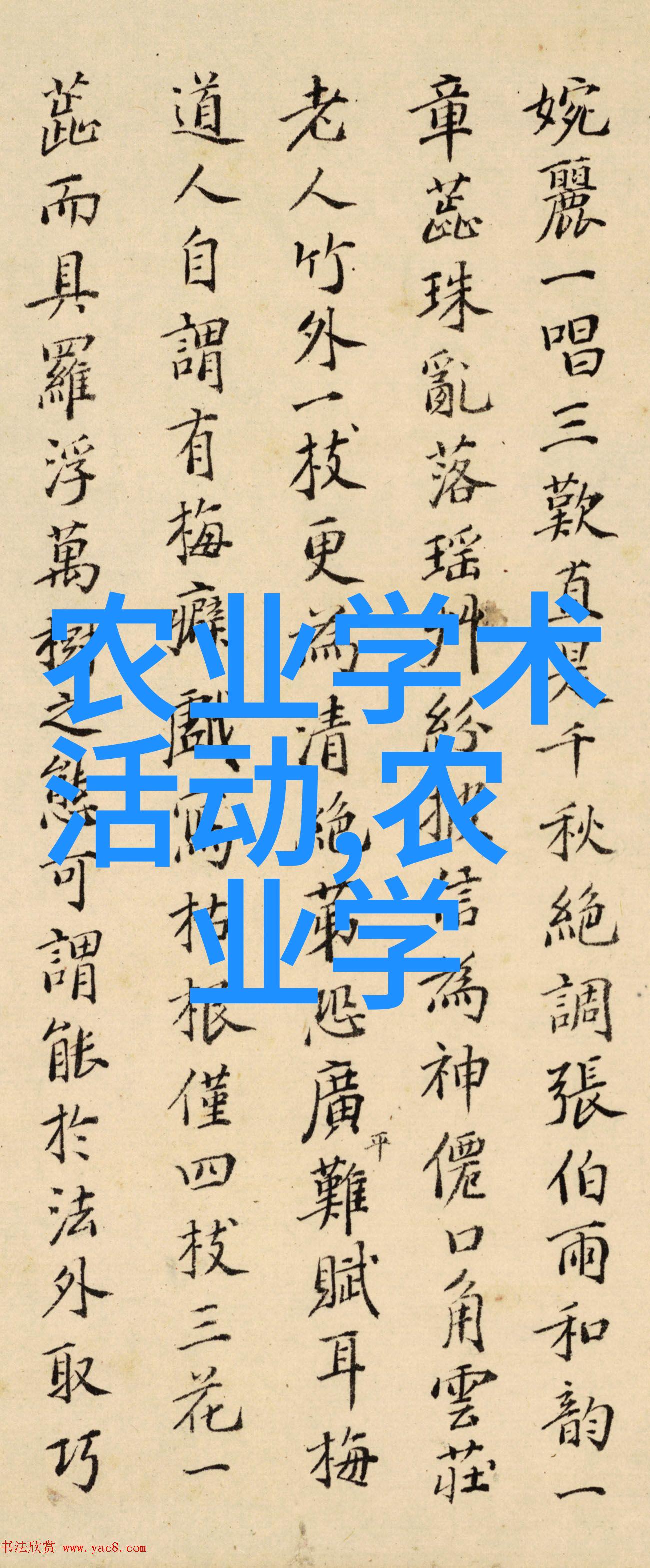 赚钱树探秘那些致富的药材种植之路