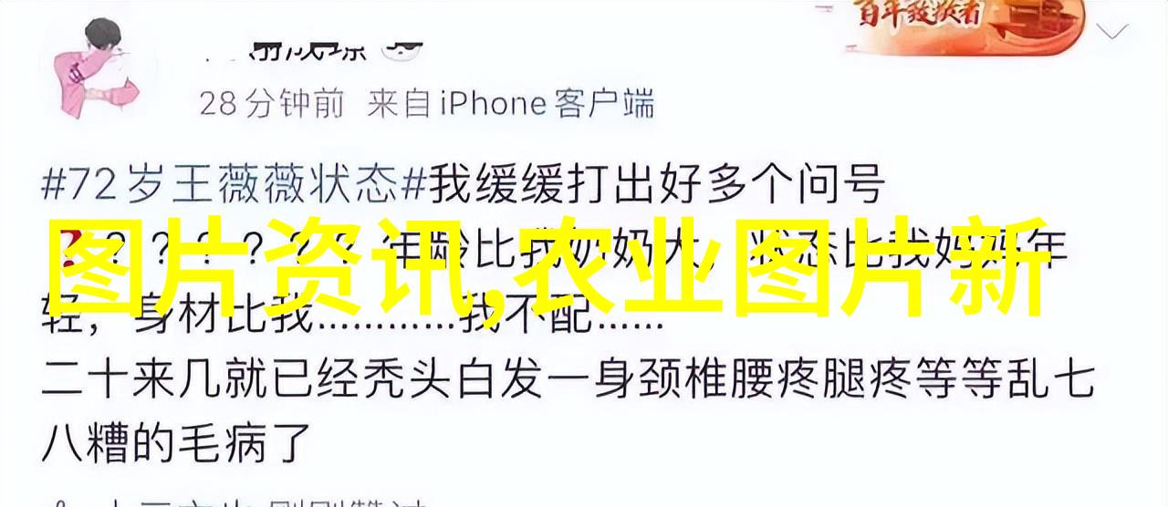 狂舞梦影癫马女郎的绚烂一夜