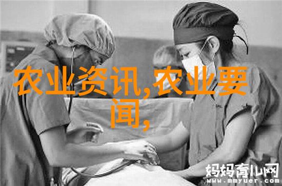 家庭用玉米棒自动输送系统设计与优化