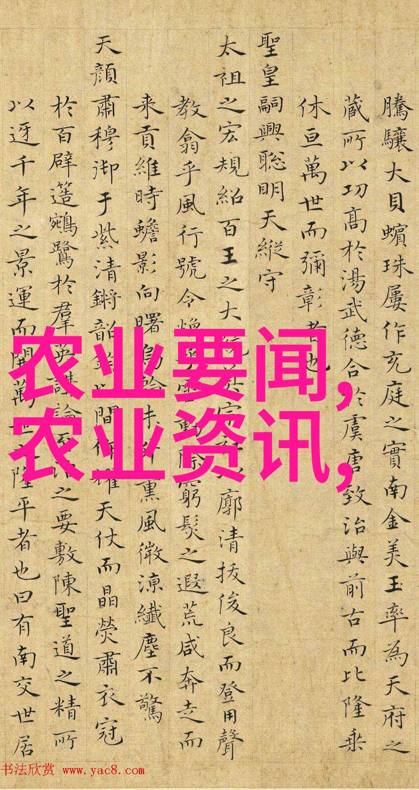 优化饲料配方以促进白玉蜗牛健康成长