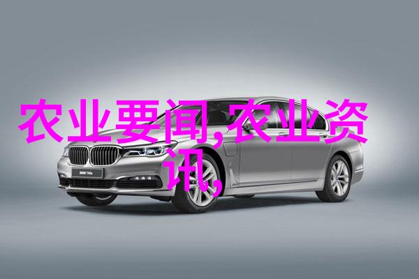 春天的守护者红果冬青树的经济价值与生态意义