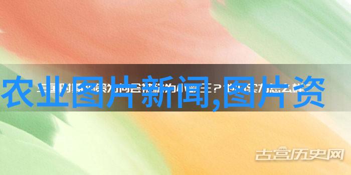 云端的毒霜二氧化氯发生器背后的秘密