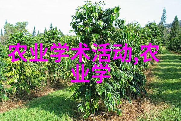 中国牛羊养殖网的现代化建设与可持续发展策略研究