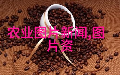 七大农作物育种国家重点研发计划三个项目启动