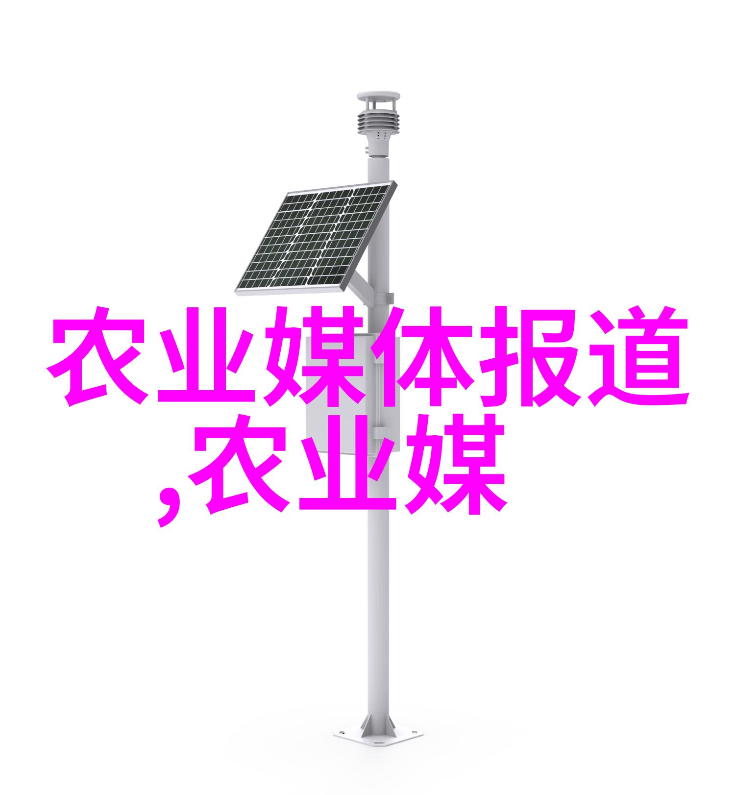 蜂舞网络甜蜜的连接与共鸣