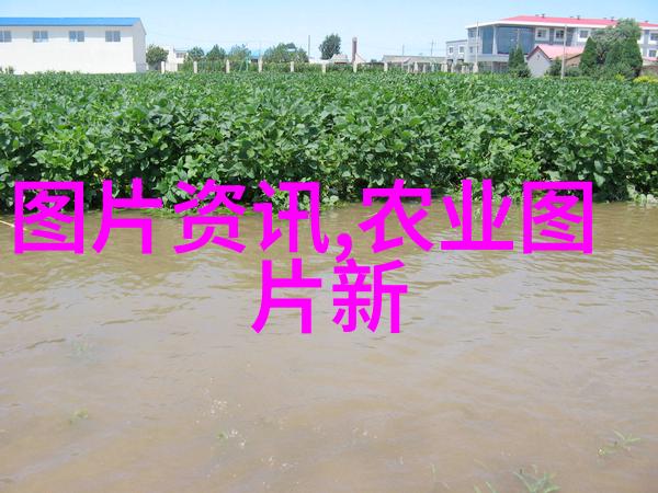 香梨功效与盆栽技巧栽培时的施肥秘诀及花卉图片大全