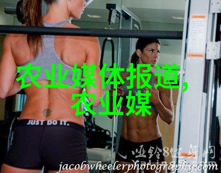 泥鳅黄鳝养殖技术我是怎么学会养出肥胖又美味的泥鳅黄鳝的