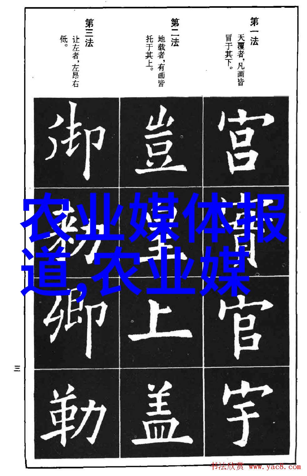 绚烂园丁花卉的色彩交响