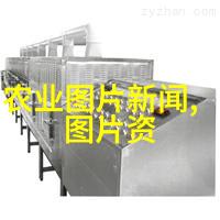 郁金香栽培艺术与时节管理探索春季花卉的种植技巧与最佳播种期限
