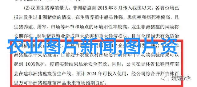跌价最惨的中药材天麻