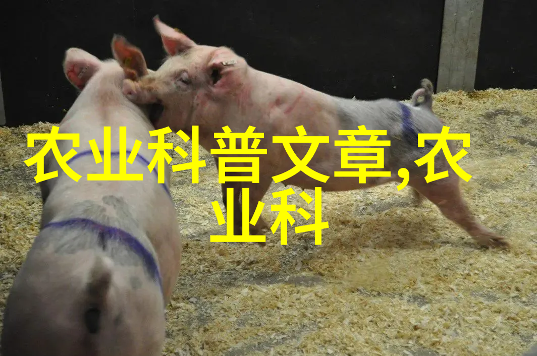 果园新希望周边精选果树苗出售