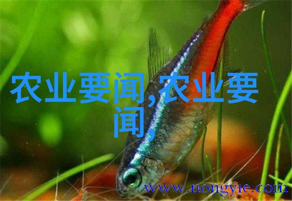 如何评估全国农产品供求信息网对于提升农业经济效益所起到的作用