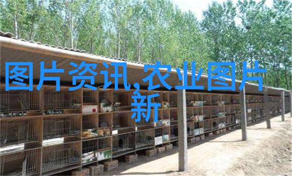 别烦我了BY小蒹葭一部轻松幽默的都市生活小说