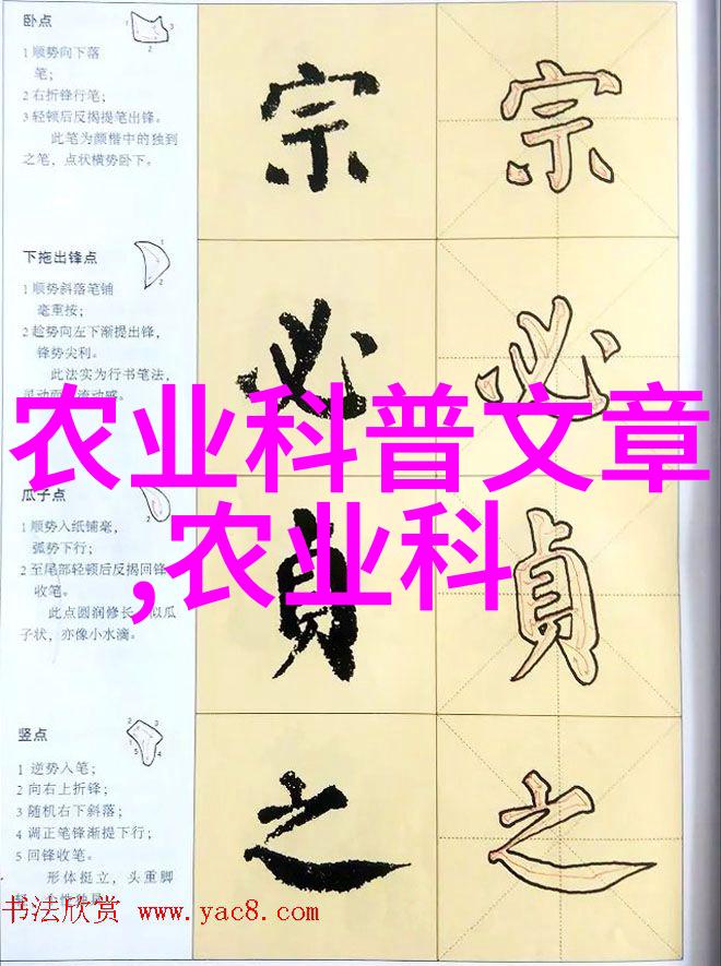 冬日蔬菜之恋如何在寒冷中栽培绿意盎然