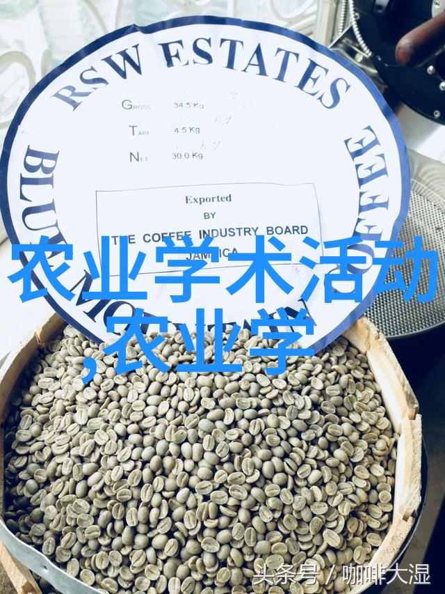 黄瓜种植技术-精准栽培提升黄瓜产量与品质的现代种植技巧