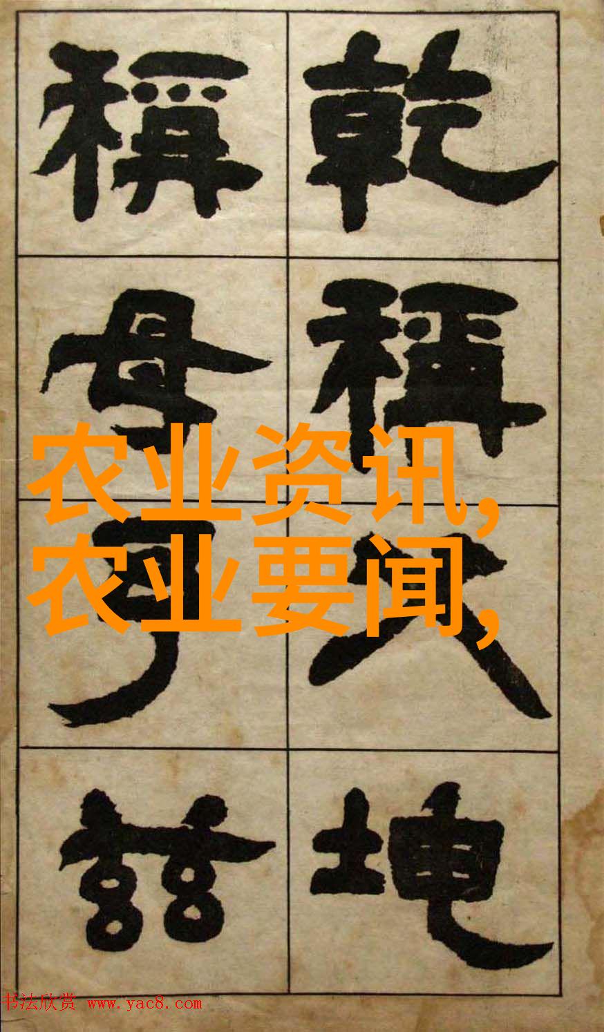 探秘500种水果一览全球奇珍异果的名字