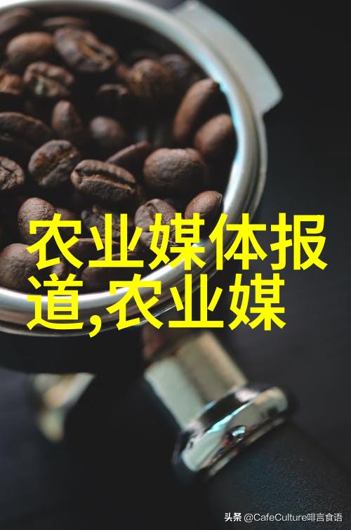 工业自动化的关键设备皮带输送机的运作原理与应用场景
