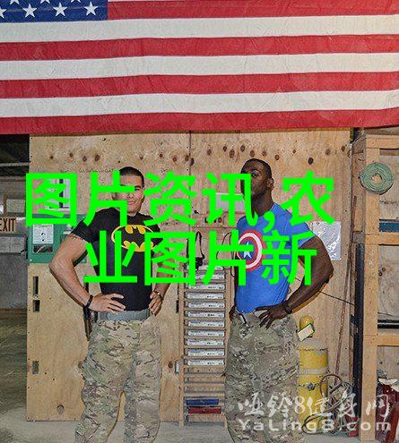 手工艺品与种植技巧发现休闲农业中的艺术灵魂