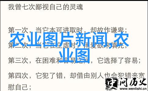 园艺选择与生态适应性探究适合家庭小院种植的植物品种