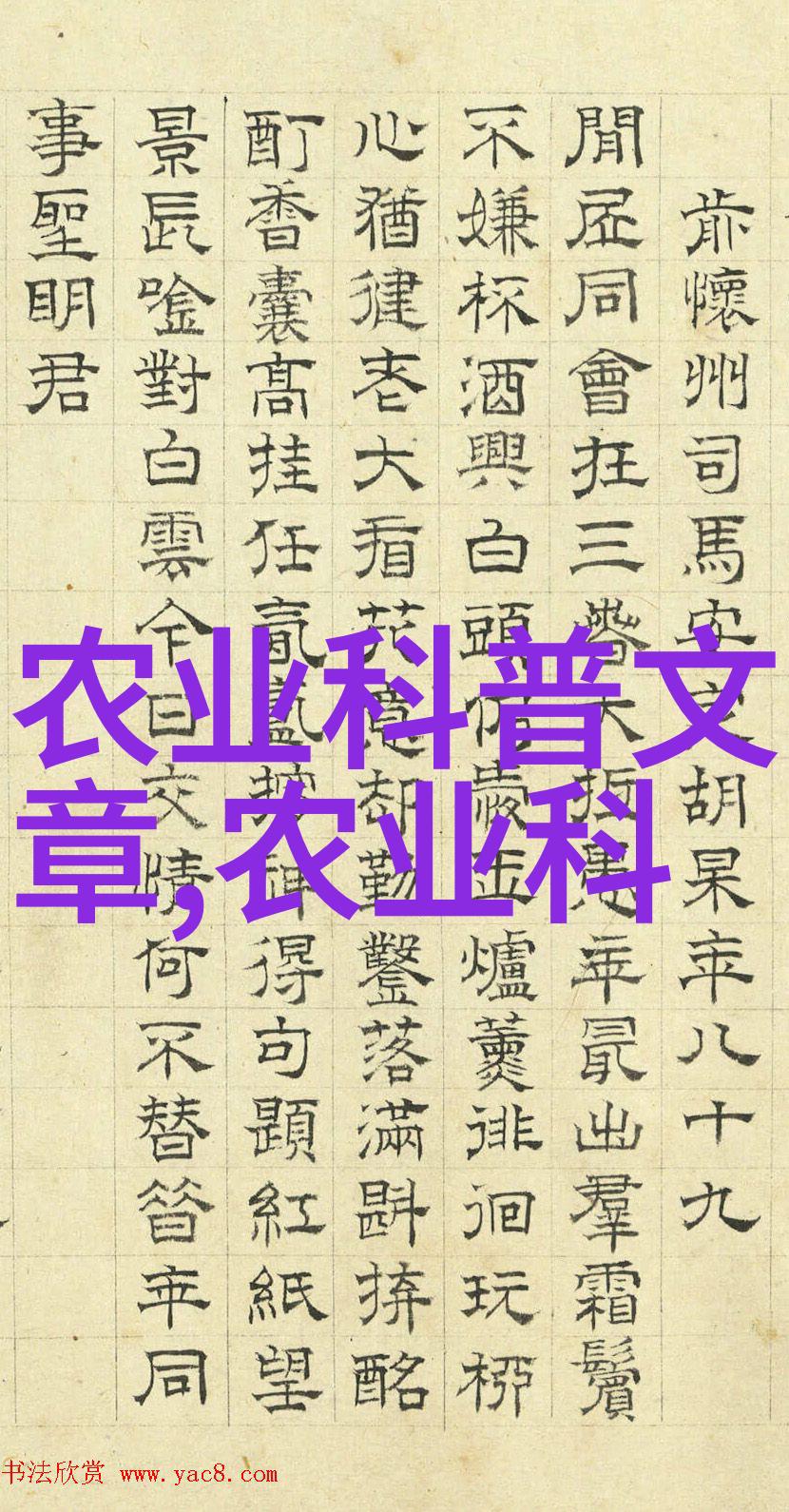 世界百科全书我如何在图书海洋中找到宝藏