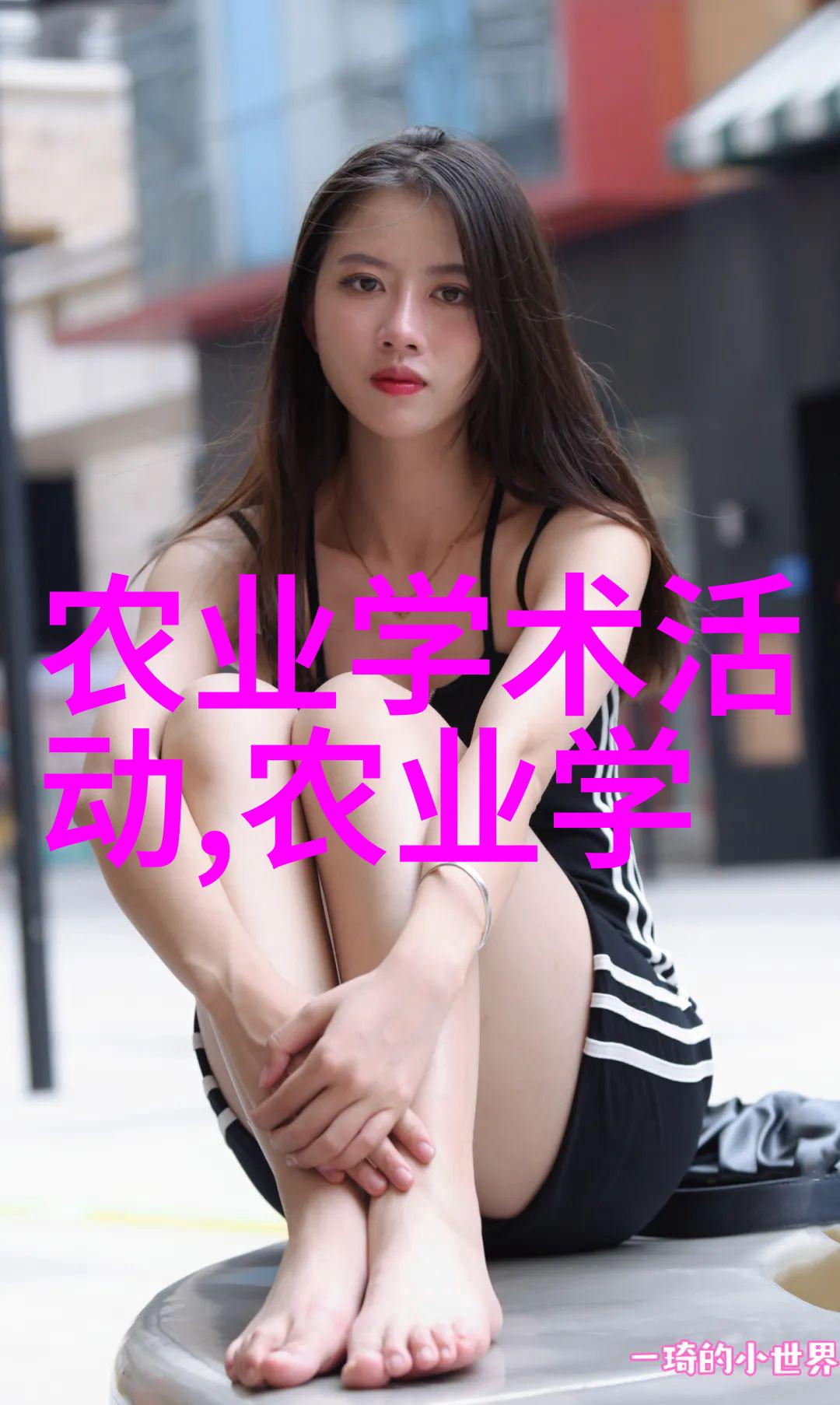 从植物到画布如何选择适合您室内的盆栽花卉