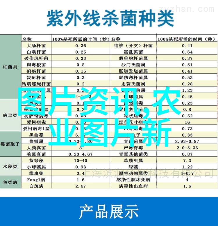 超越饥饿暴食文化的诱惑与反思
