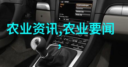揭秘泥鳅养殖揭露骗局背后的真相