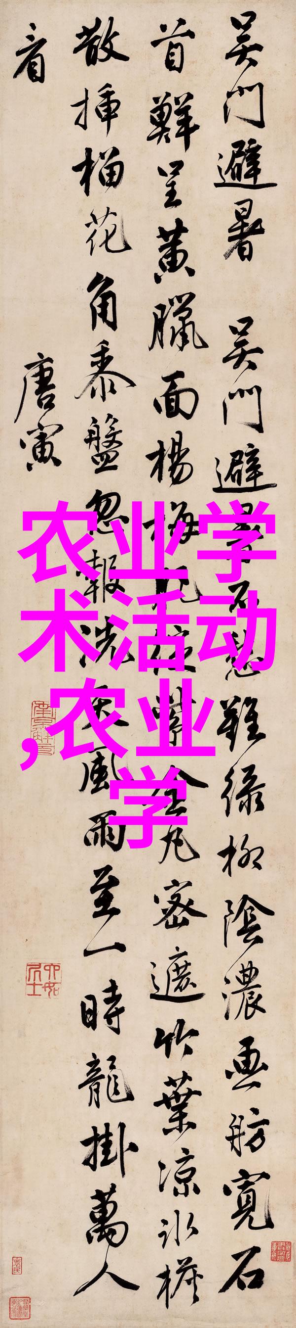 激情燃烧的凤凰男狂野追梦之旅