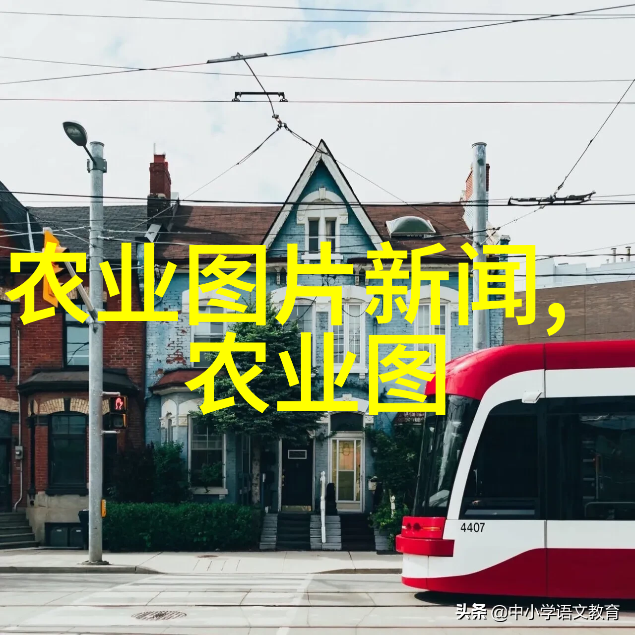 茶叶功效咱们聊聊这些说法是真的