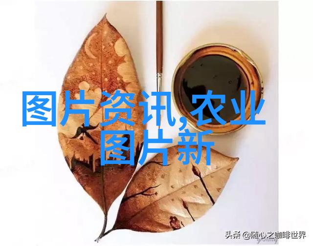 绿意盎然的室内花园室内植物100种大盆栽选择指南