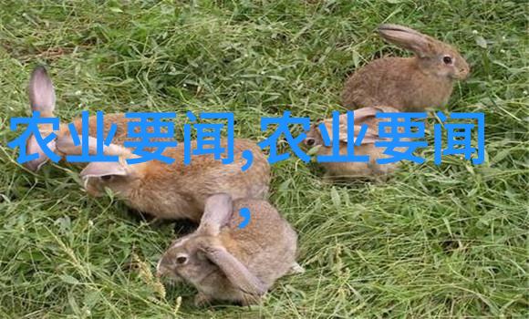 星海传说流浪者与守护者的永恒交响