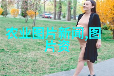 药材市场热点揭秘哪些高效成分让它们成为最赚钱的稀缺资源