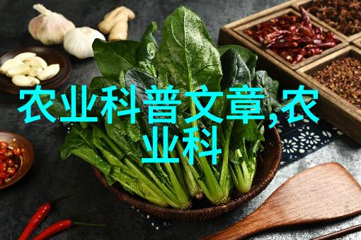 10公分紫叶稠李价格咱们来看看吧