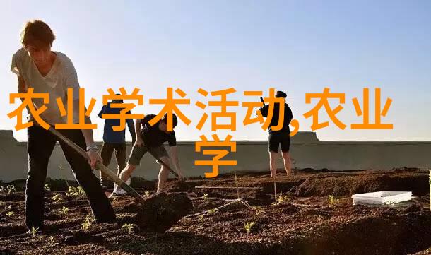 10公分金枝槐的价值与收藏意义