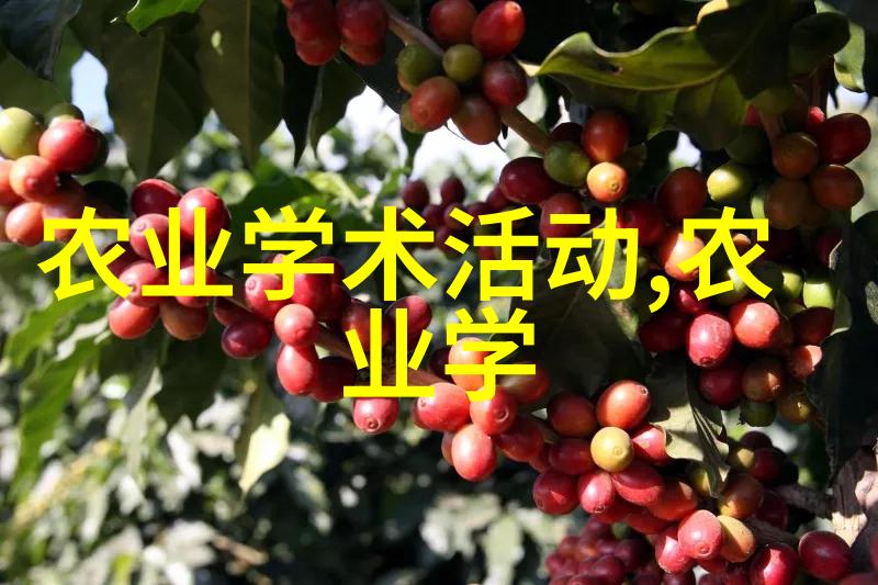 百元一斤奇草探秘揭秘珍贵药材的种类与市场现状