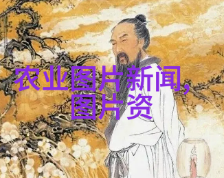 美丽盆栽精心培育的花香宝库