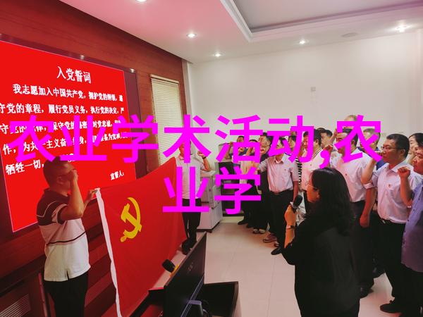 红果冬青树市场价区间15至18元的选择与思考