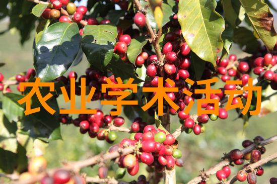 中国农业大学理学院 学术报告 数学系列学术报告