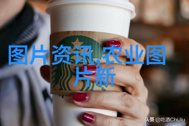 茶韵养生绿色长寿的秘密花园