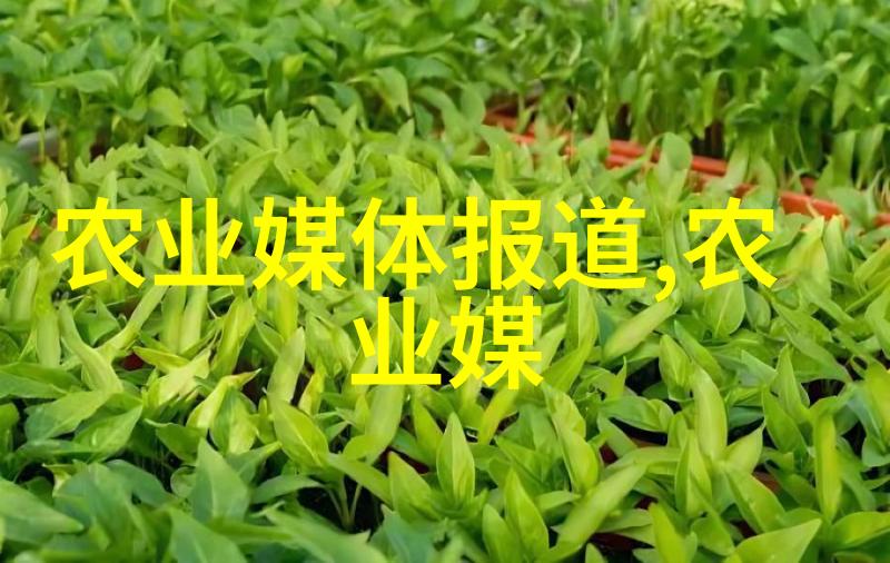 蜜蜂的繁殖速度真不简单一年搞定几箱简直是超级工厂