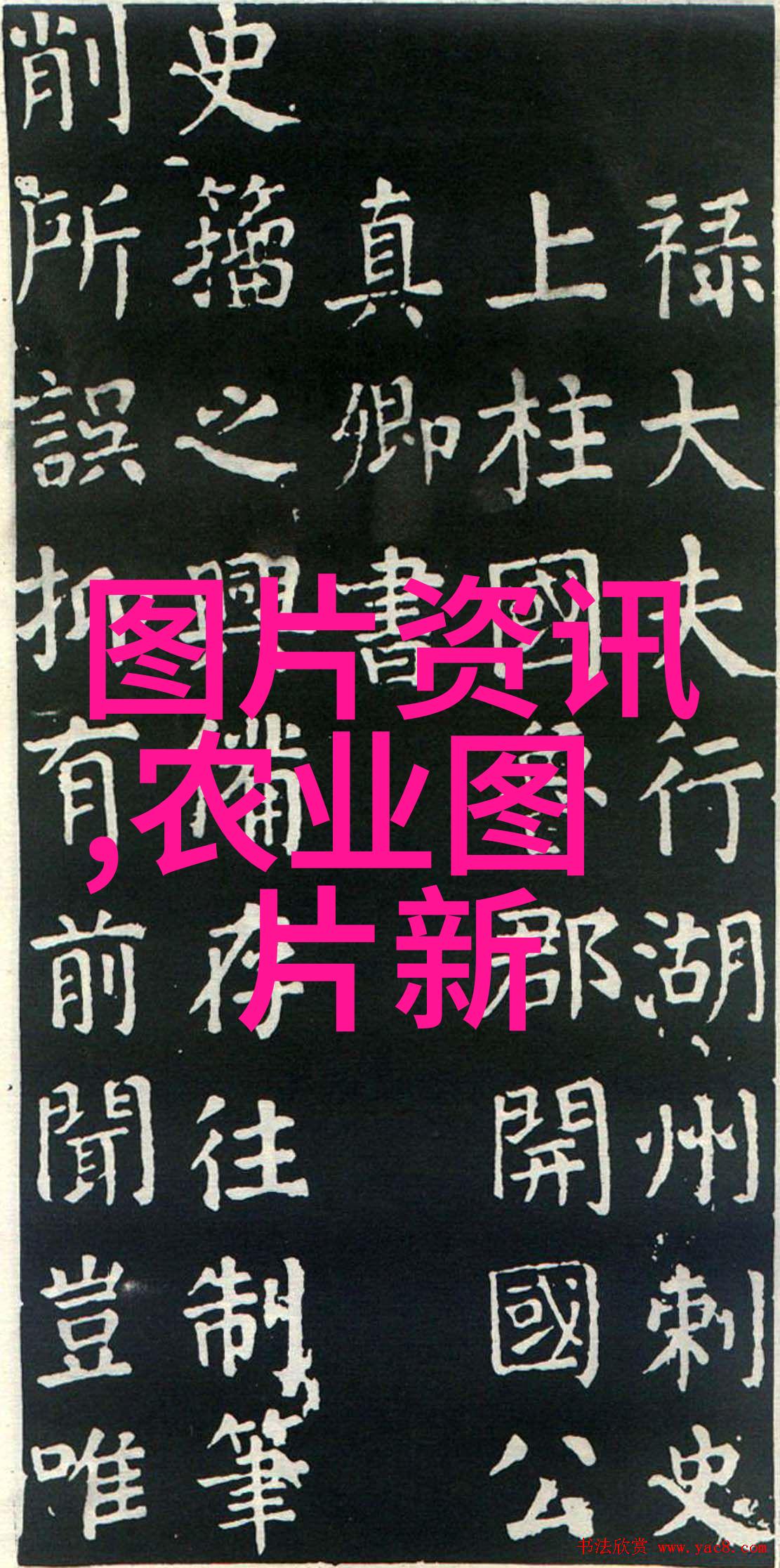 规模养猪场兽医卫生防疫措施