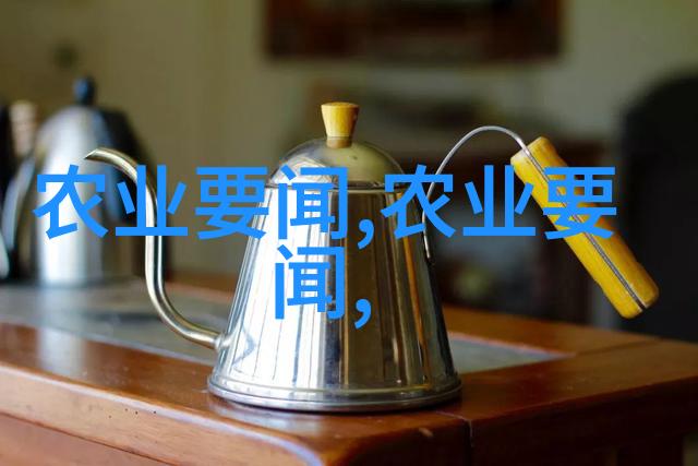 四棱豆豆腐的逆袭之旅