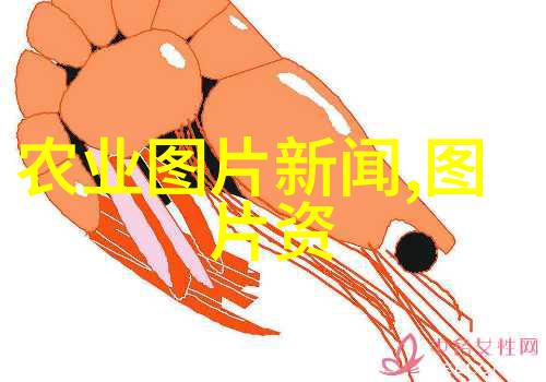 苗木597苗木网-苗木选择与养护指南从苗木597网获取最佳植物资源