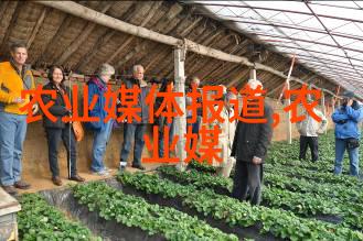 秘密花园的守护者解开那片神秘绿地的花语