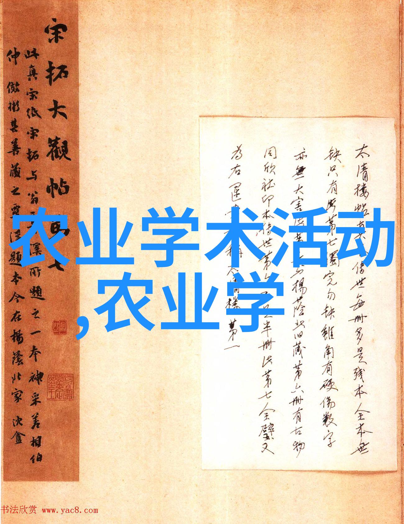 无土栽培技术创新生长方式绿色未来